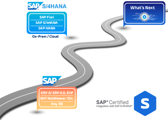 SAP Roadmap_Nils-02-1
